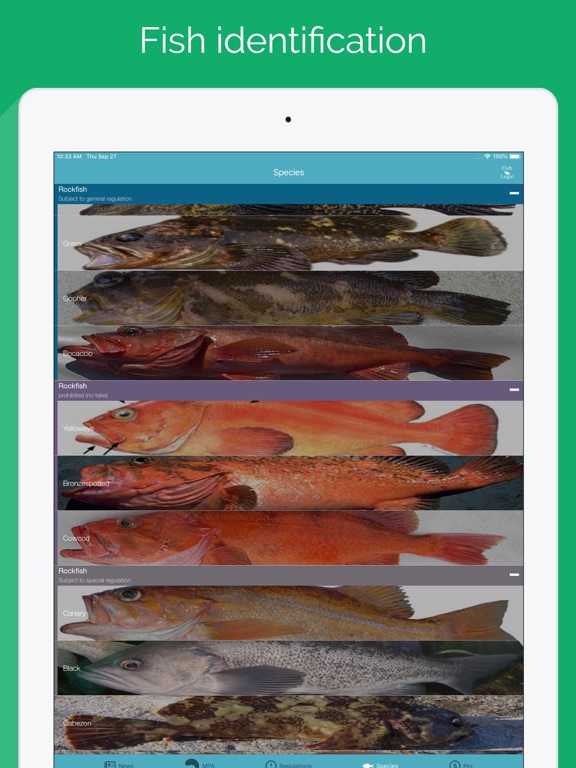FishLegal iPad screenshot 5 - Sports app