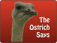 The Ostrich Says