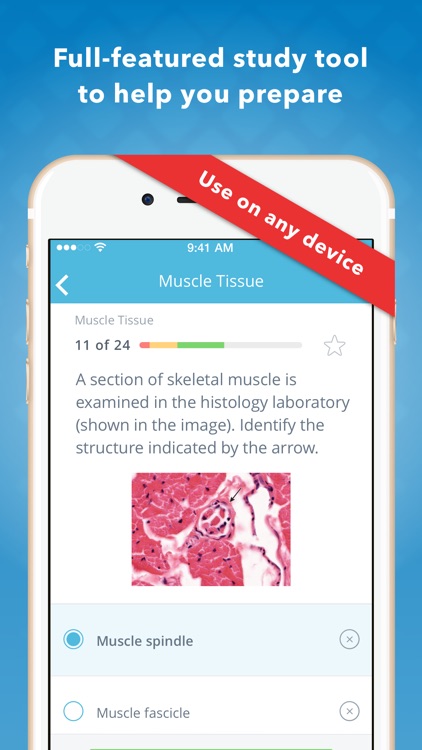 Histology: USMLE Q&A Review screenshot-3