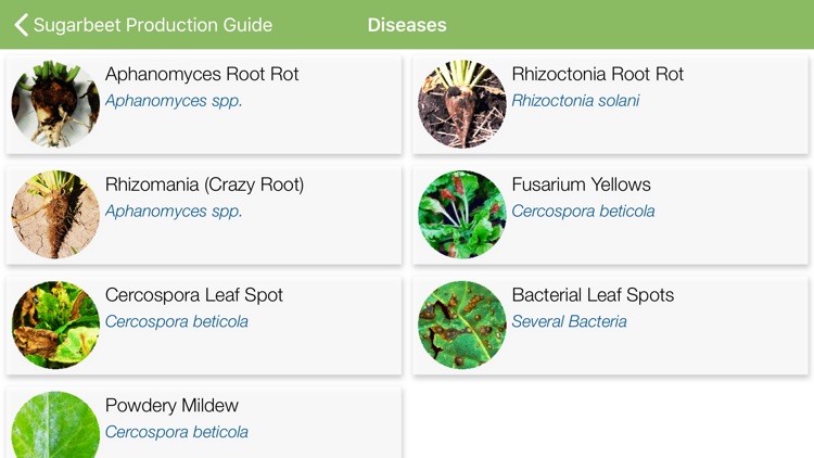 Sugarbeet Production Guide screenshot-3