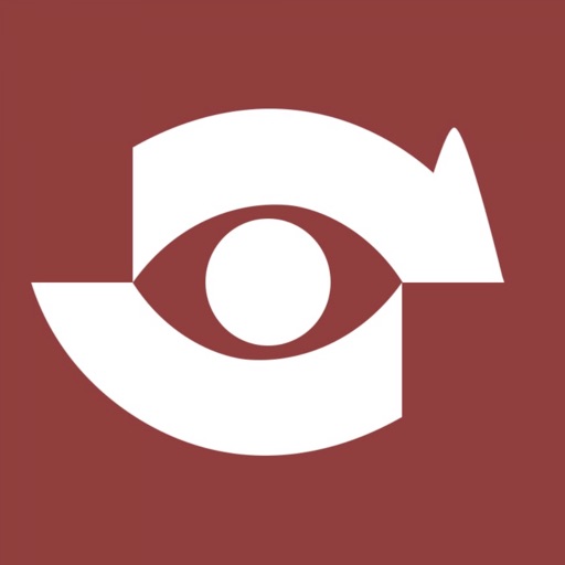 EYESHOT для водителя такси