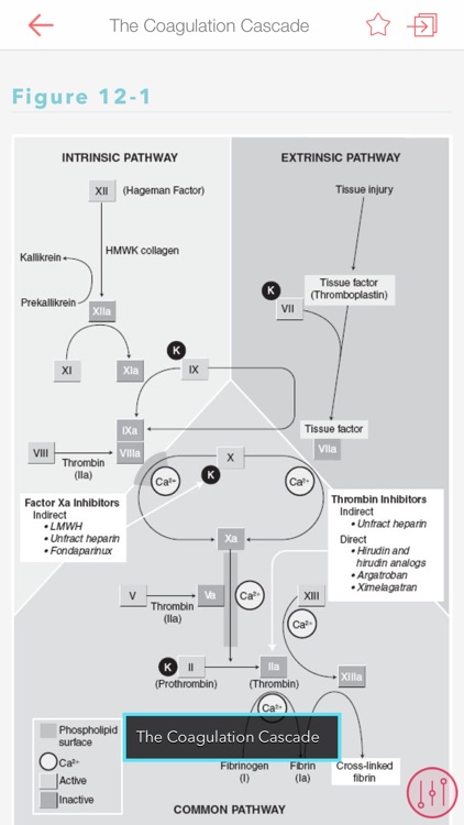Hematology & Oncology Consult screenshot-4