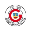TSV Großenkneten