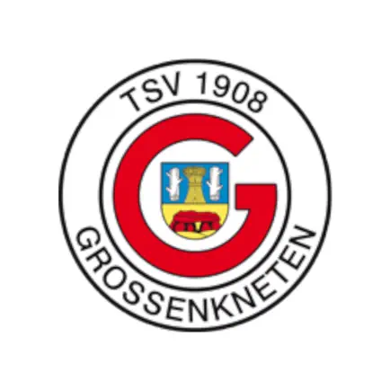 TSV Großenkneten Читы
