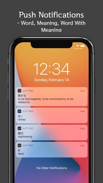 Japanese Vocab Pro screenshot-4