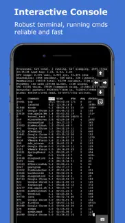 xterminal - ssh terminal shell iphone screenshot 4