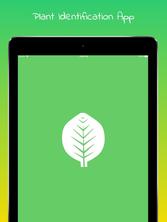 Plant Identifier - WildPlantID image #1