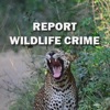 Report Wildlife Crime icon