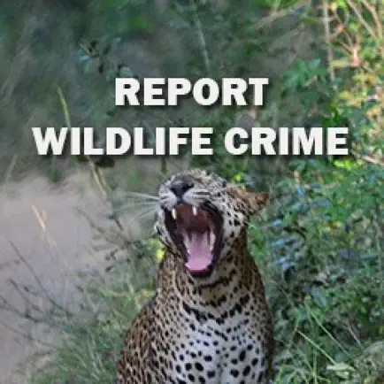Report Wildlife Crime Cheats