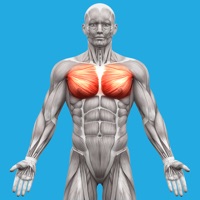 Muscle System Anatomy pour PC