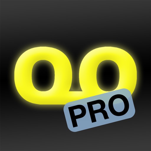 Quantiloop Pro - Live Looper