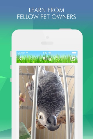 Pets Amino screenshot 4