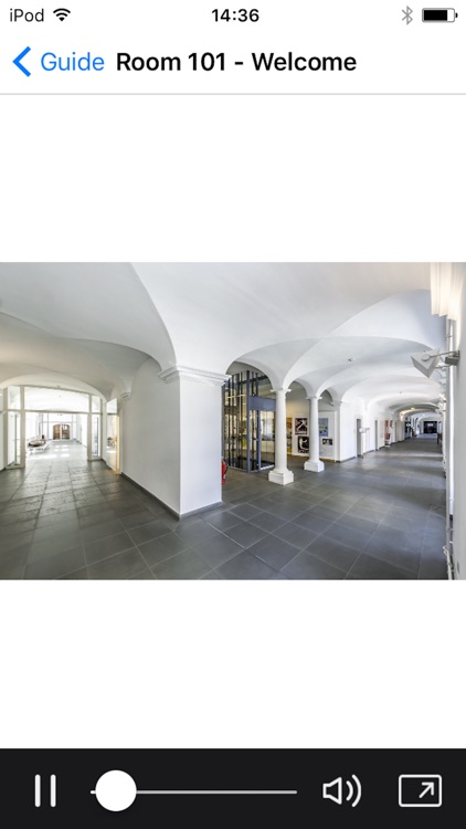 ARCHÄOLOGISCHES LANDESMUSEUM screenshot-4