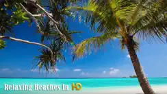 Relaxing Beaches In HD iPhone image 1