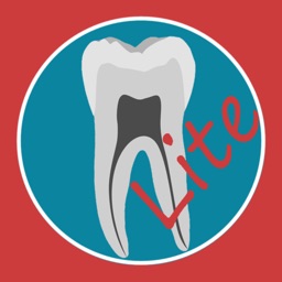 Dental Corpus Primary Lite