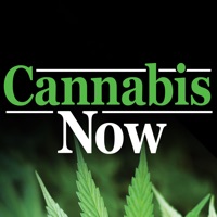 Cannabis Now ne fonctionne pas? problème ou bug?