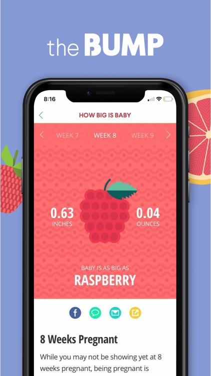 The Bump - Pregnancy Tracker screenshot-0