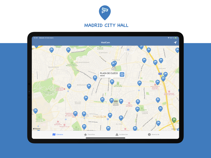MadInfo-Incidences and cameras
