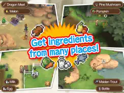 RPG Marenian Tavern Story iPad image 3