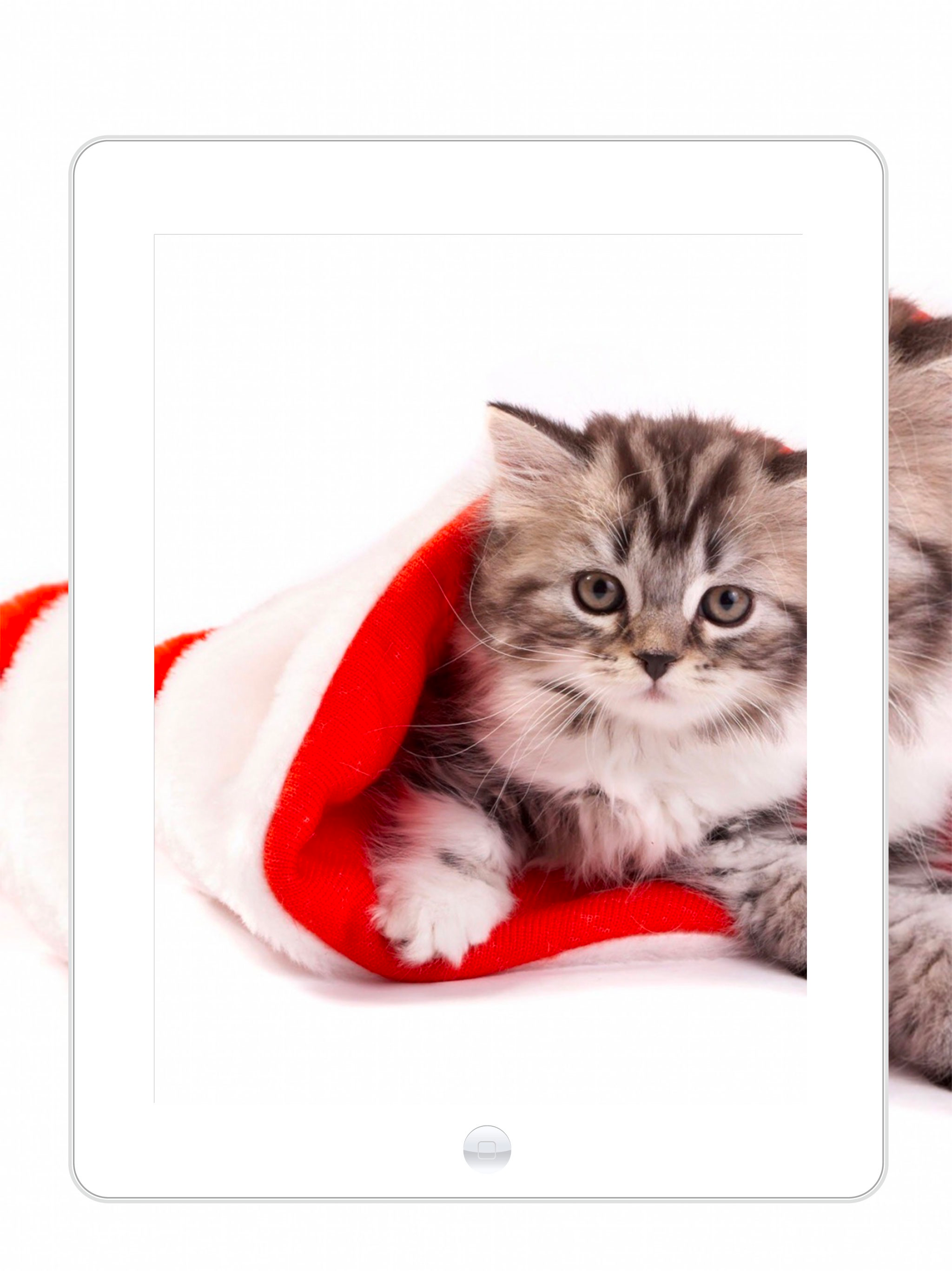 Merry Christmas Tree Wallpaper screenshot 9