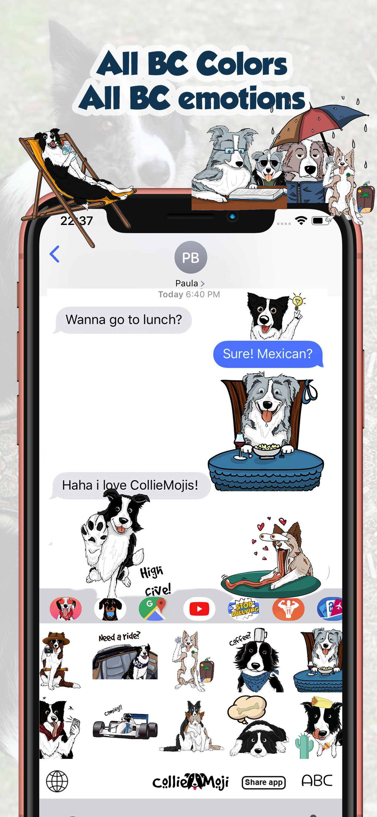 CollieMoji - Original Stickers