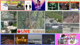 Game screenshot Global TV Streams for TV mod apk