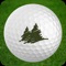 Download the Lake Wilderness Golf Course App to enhance your golf experience on the course