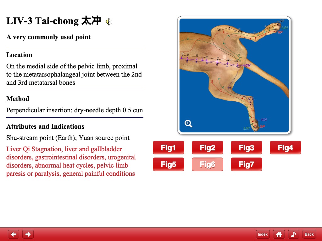 Canine Acupuncture Point HD screenshot 2