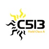 C5I Mobile Access icon