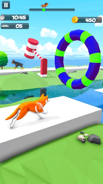 Dog Run Racer - Fun Race 3D