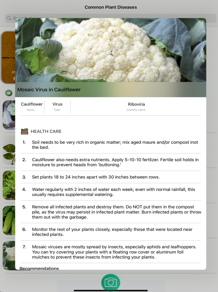 Plants Diseases Identifier