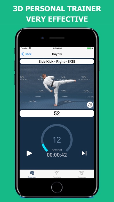 Mastering Taekwondo Training Screenshot