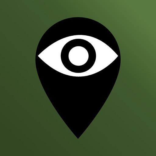 BlindIce icon