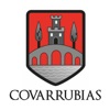 Covarrubias Burgos icon