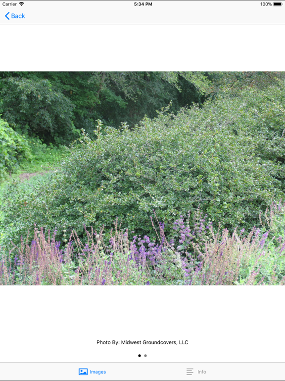 Screenshot #6 pour Landscape Alternatives
