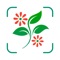 WhatPlant is a handy plant identification app helping you identify million plants with 96% accuracy