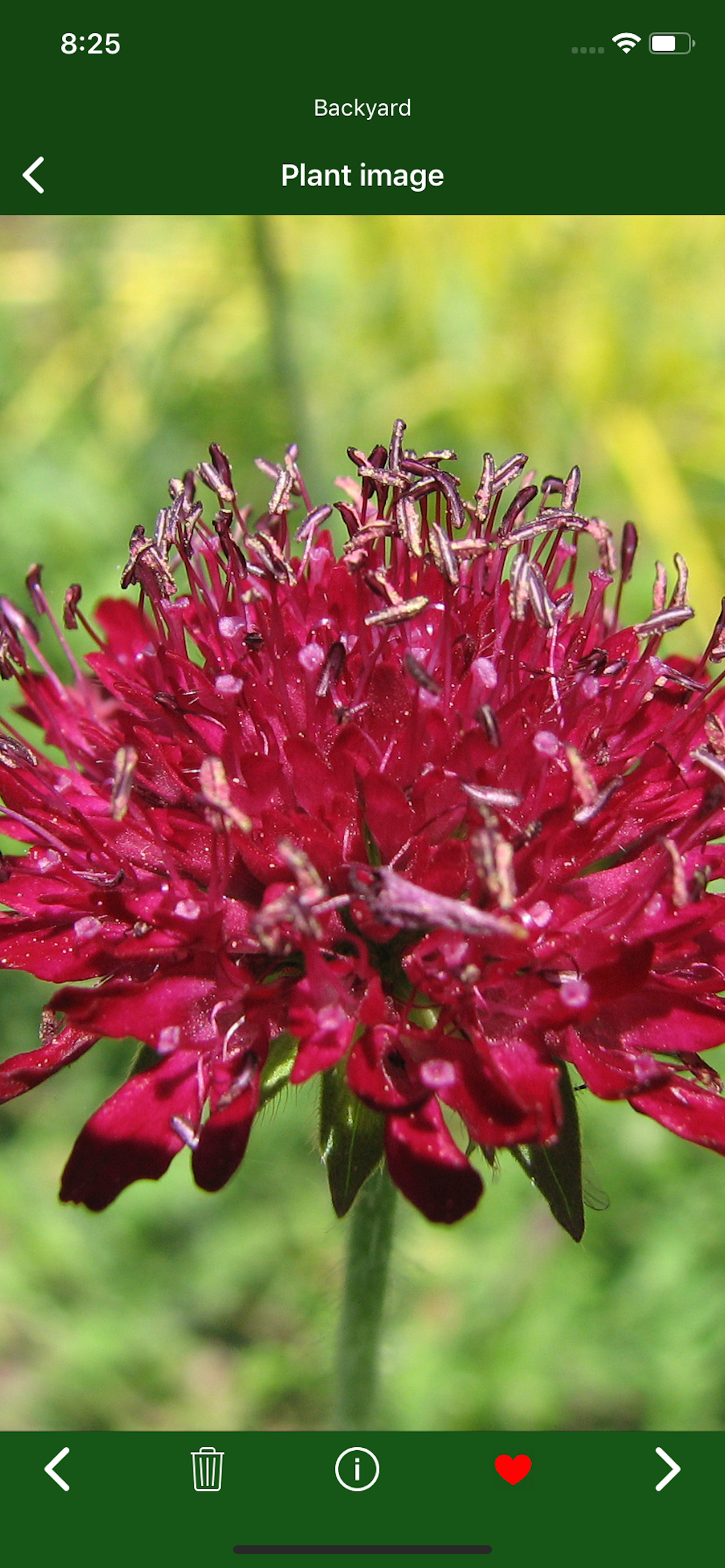 Hortus - Plants in your garden