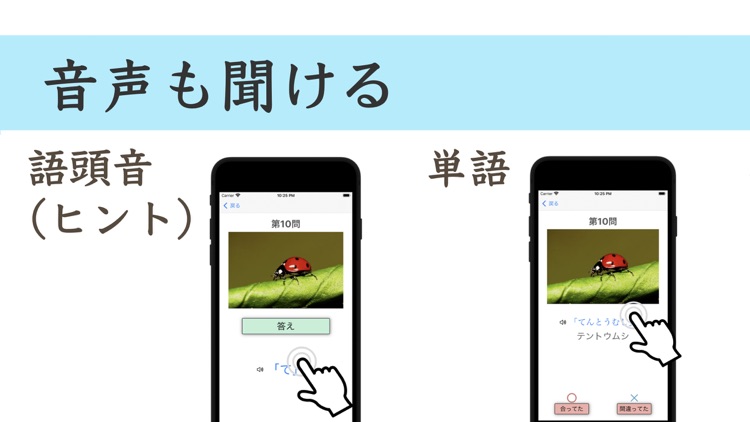 呼称リハ（易）