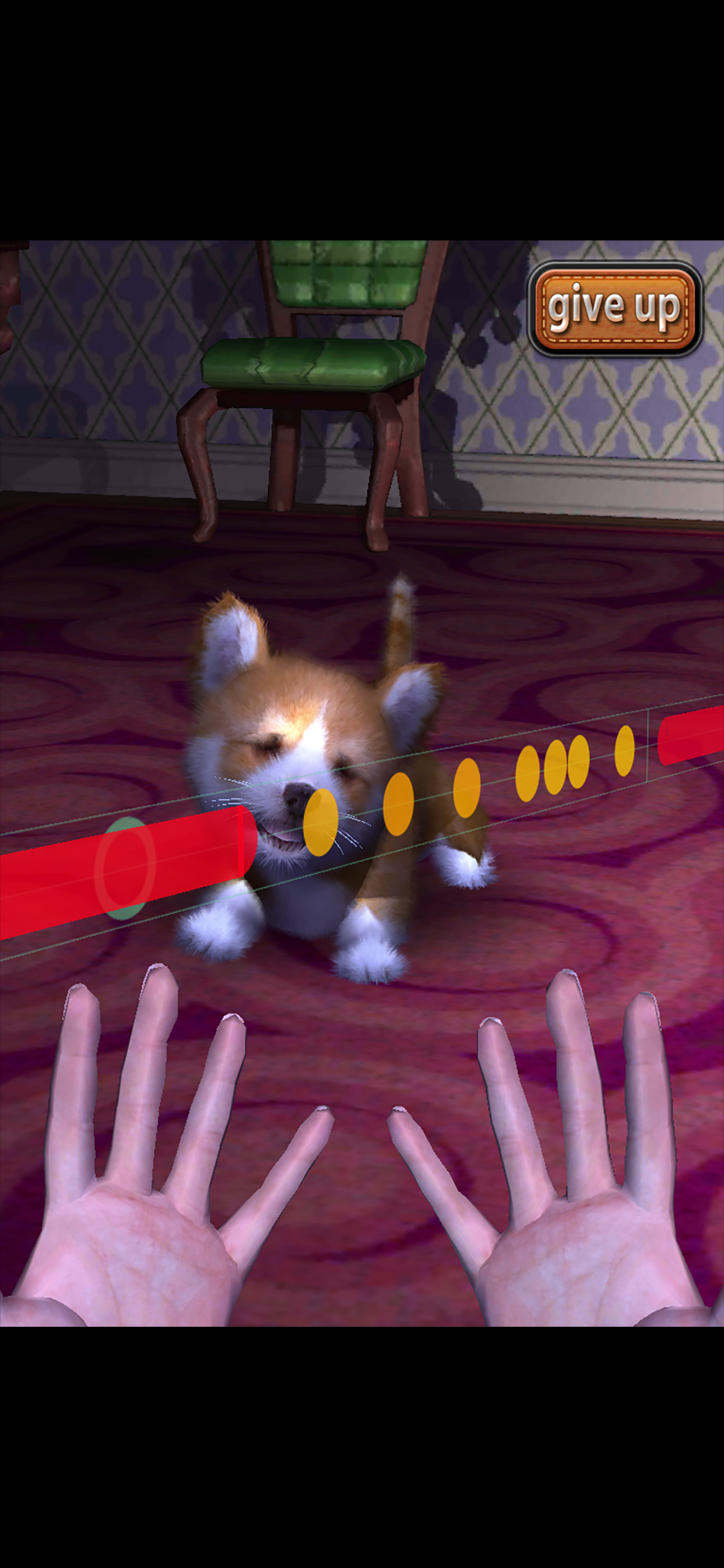 Animal Dance puppies