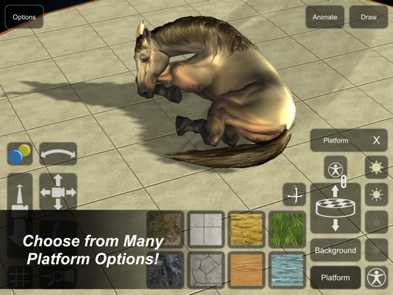 Horse Mannequin iPad screenshot 6 - Education app
