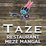 Download Taze Meze Mangal app