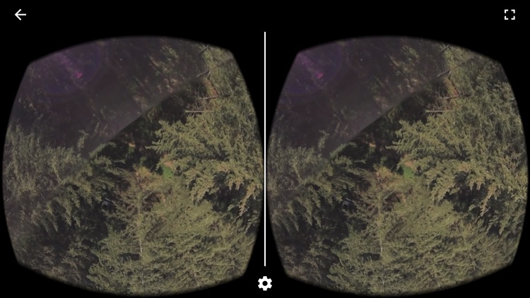 Le Bois Français screenshot-3