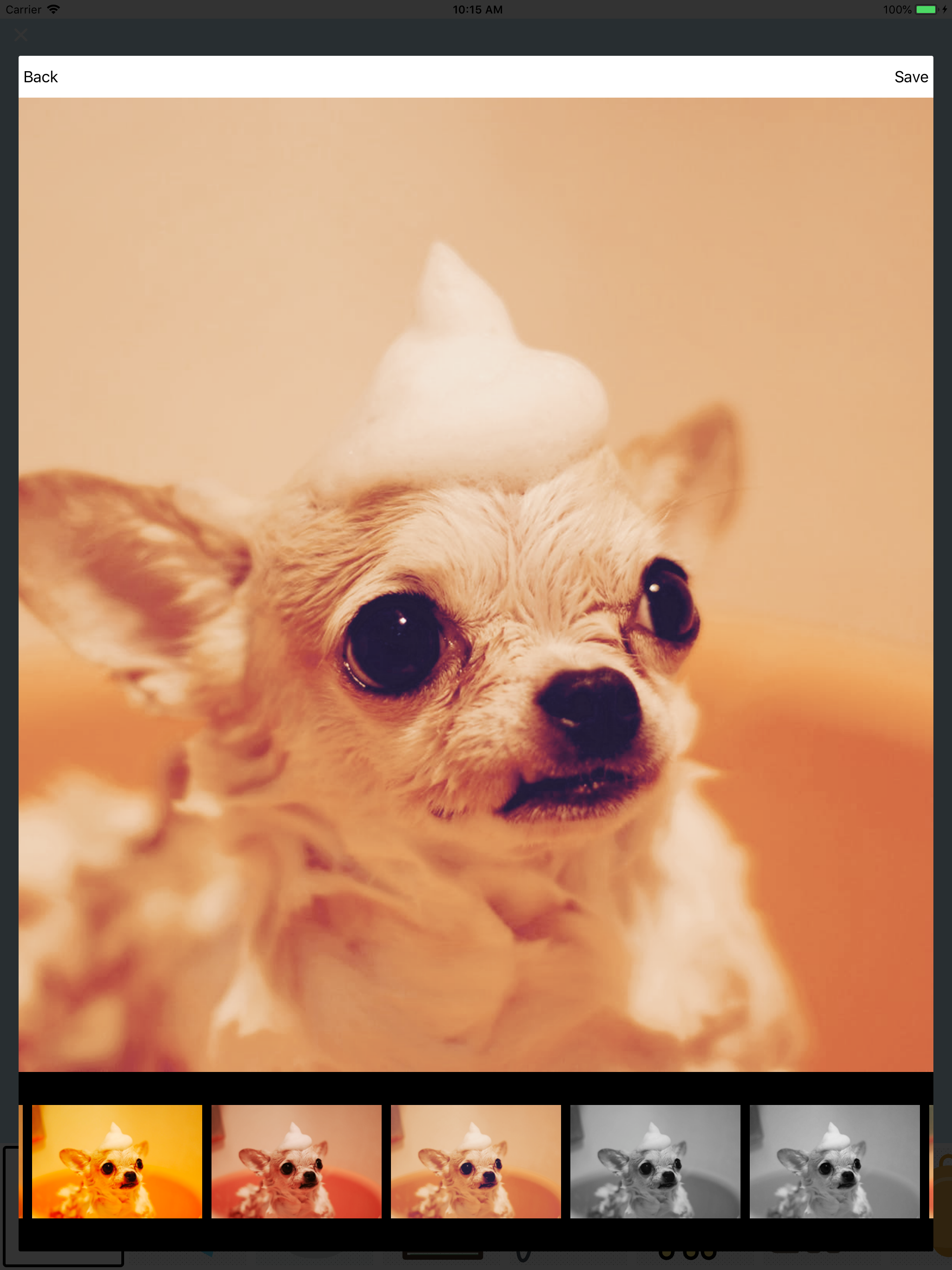 My awesome Pet Shots screenshot 10