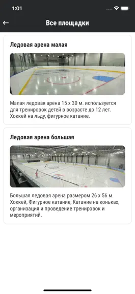 Game screenshot Ледовый дворец apk