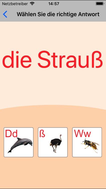 German Alphabet Learning Cards screenshot-4