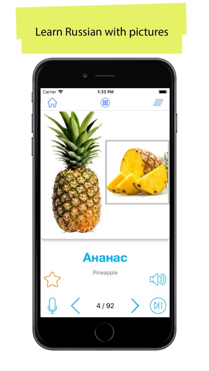 Russian 90000 Words & Pictures