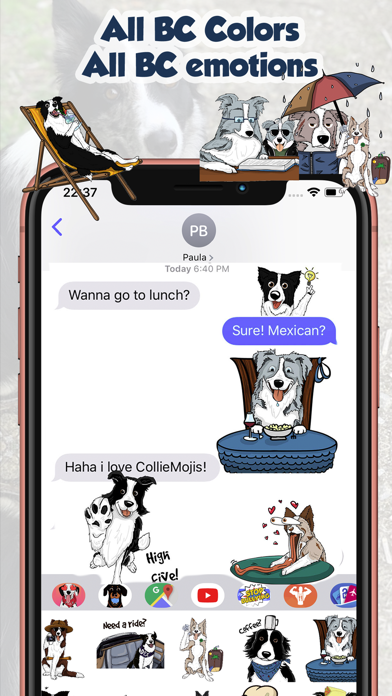 CollieMoji - Original Stickers Screenshot