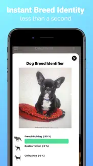 dogphoto - dog breed scanner iphone screenshot 2