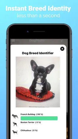Game screenshot DogPhoto - Dog Breed Scanner apk
