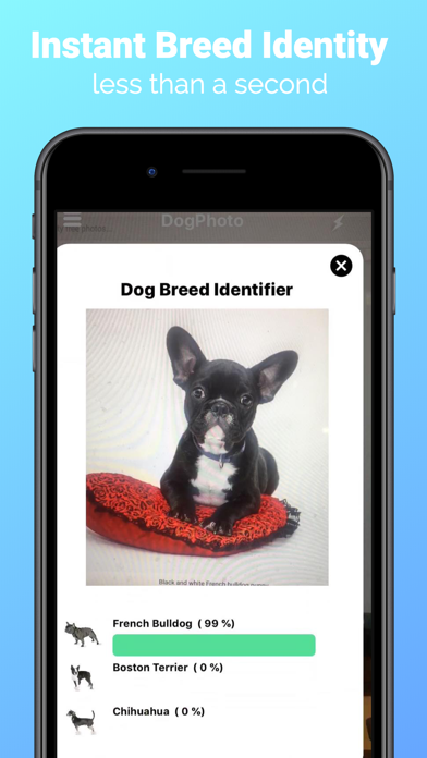 DogPhoto - Dog Breed Scanner Screenshot